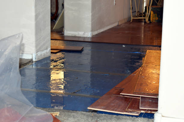 Professional Basement Flood Cleanup technician working in Phillipsburg, GA